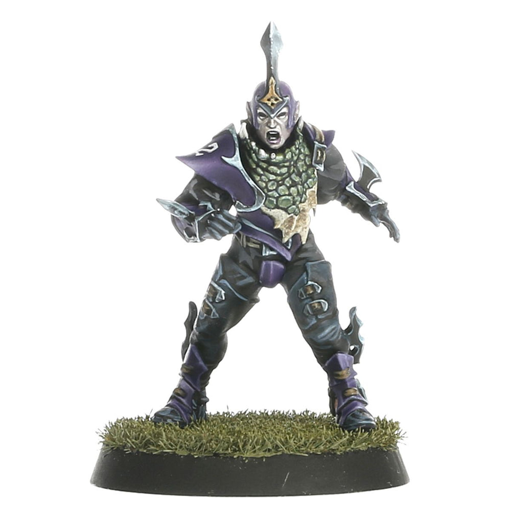 Blood Bowl: Dark Elf Blood Bowl Team – Naggaroth Nightmares (200-54)