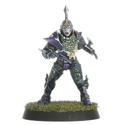 Blood Bowl: Dark Elf Blood Bowl Team – Naggaroth Nightmares (200-54)