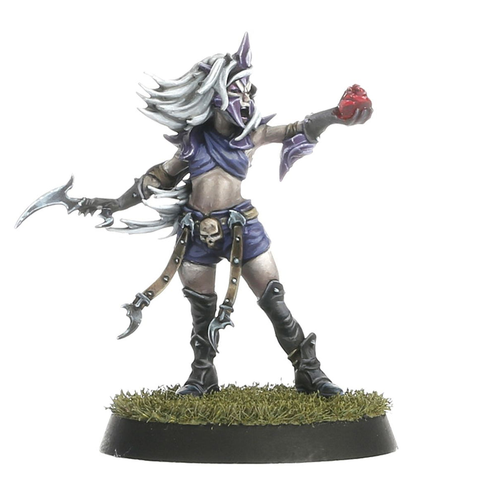 Blood Bowl: Dark Elf Blood Bowl Team – Naggaroth Nightmares (200-54)