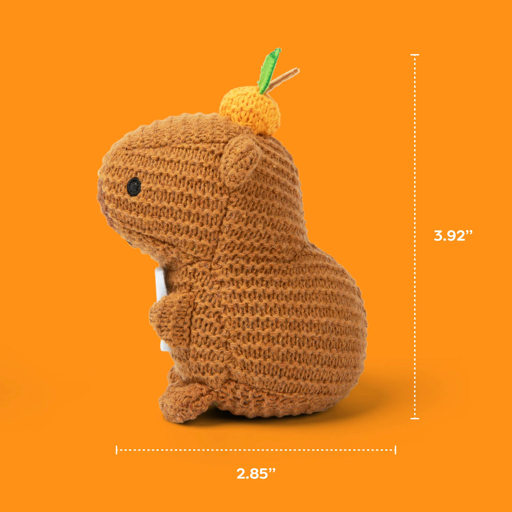 Lil Cheers Capybara