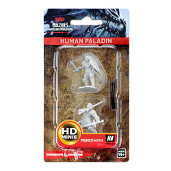 D&D Nolzur's Marvelous Miniatures: Human Paladin