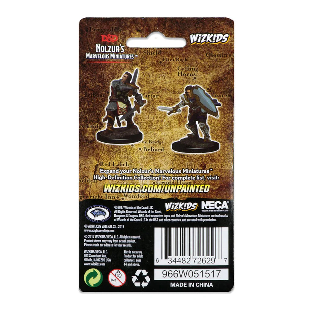 D&D Nolzur's Marvelous Miniatures: Human Paladin
