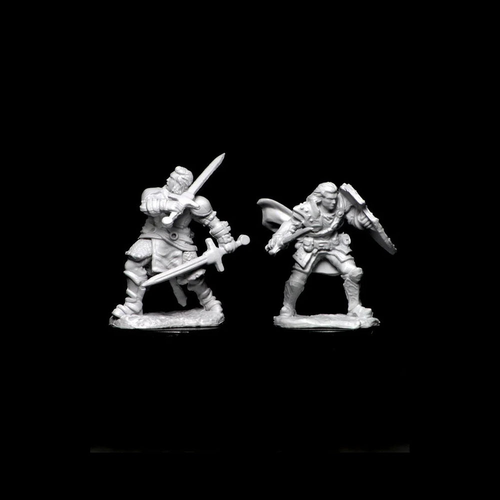 D&D Nolzur's Marvelous Miniatures: Human Paladin