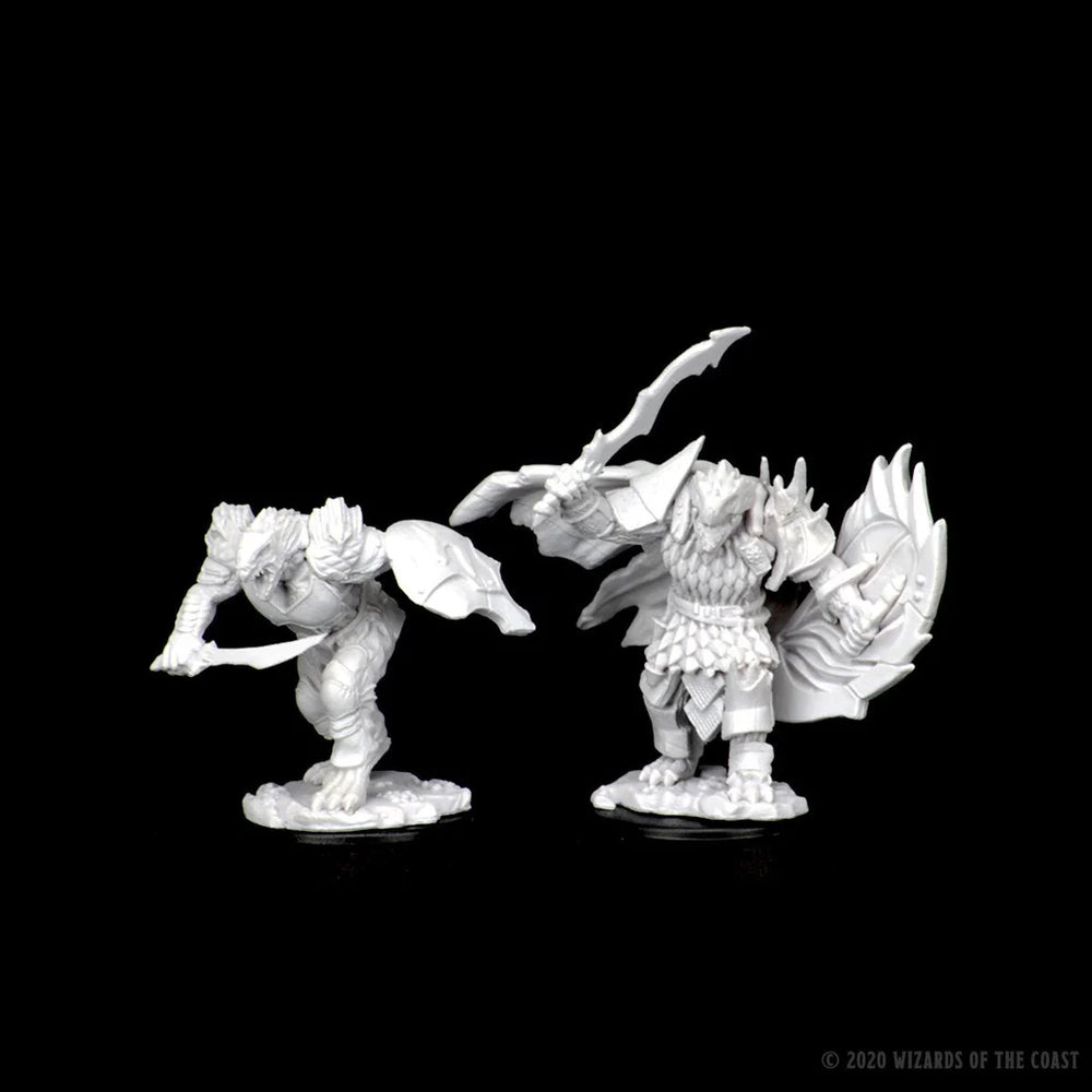 D&D Nolzur's Marvelous Miniatures: Dragonborn Fighter
