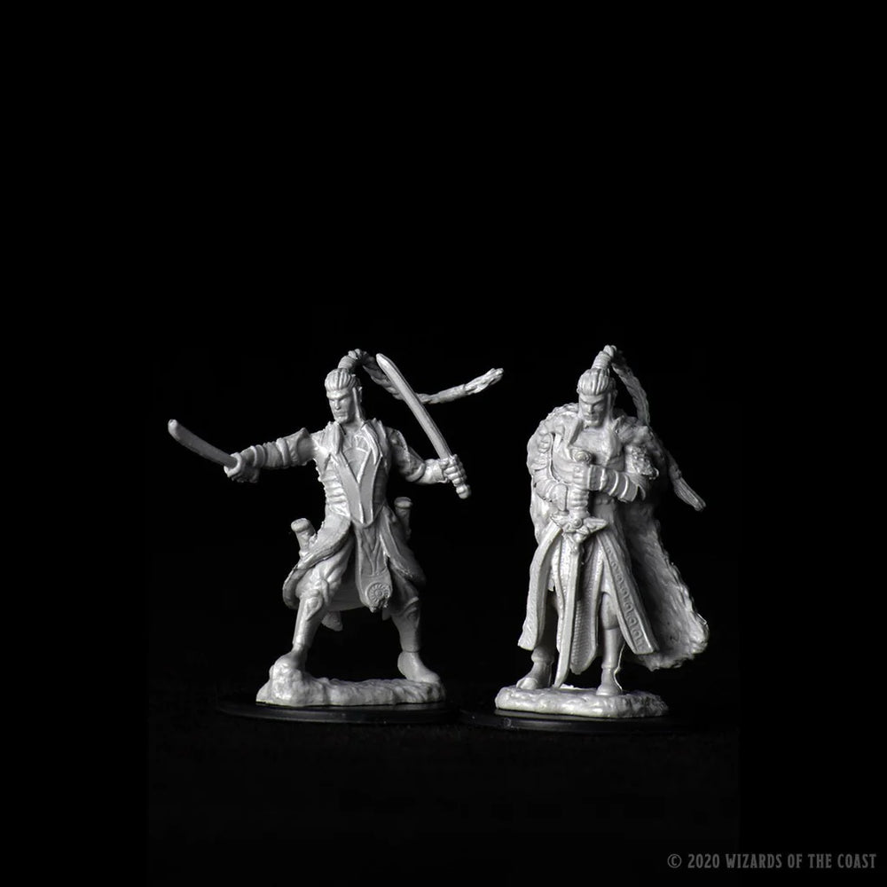 D&D Nolzur's Marvelous Miniatures - Male Elf Paladin