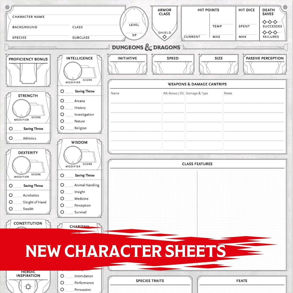 Dungeons & Dragons RPG: Character Sheets (2024)