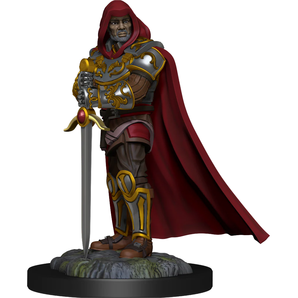 D&D Nolzur's Marvelous Miniatures: Human Paladin Male