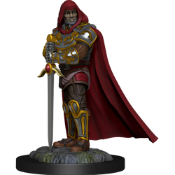 D&D Nolzur's Marvelous Miniatures: Human Paladin Male