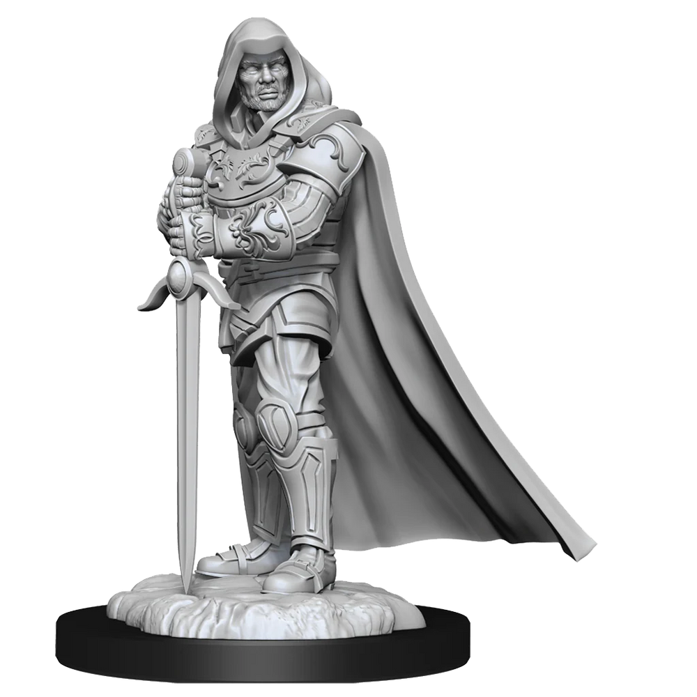 D&D Nolzur's Marvelous Miniatures: Human Paladin Male