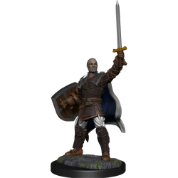 D&D Nolzur's Marvelous Miniatures: Human Paladin Male