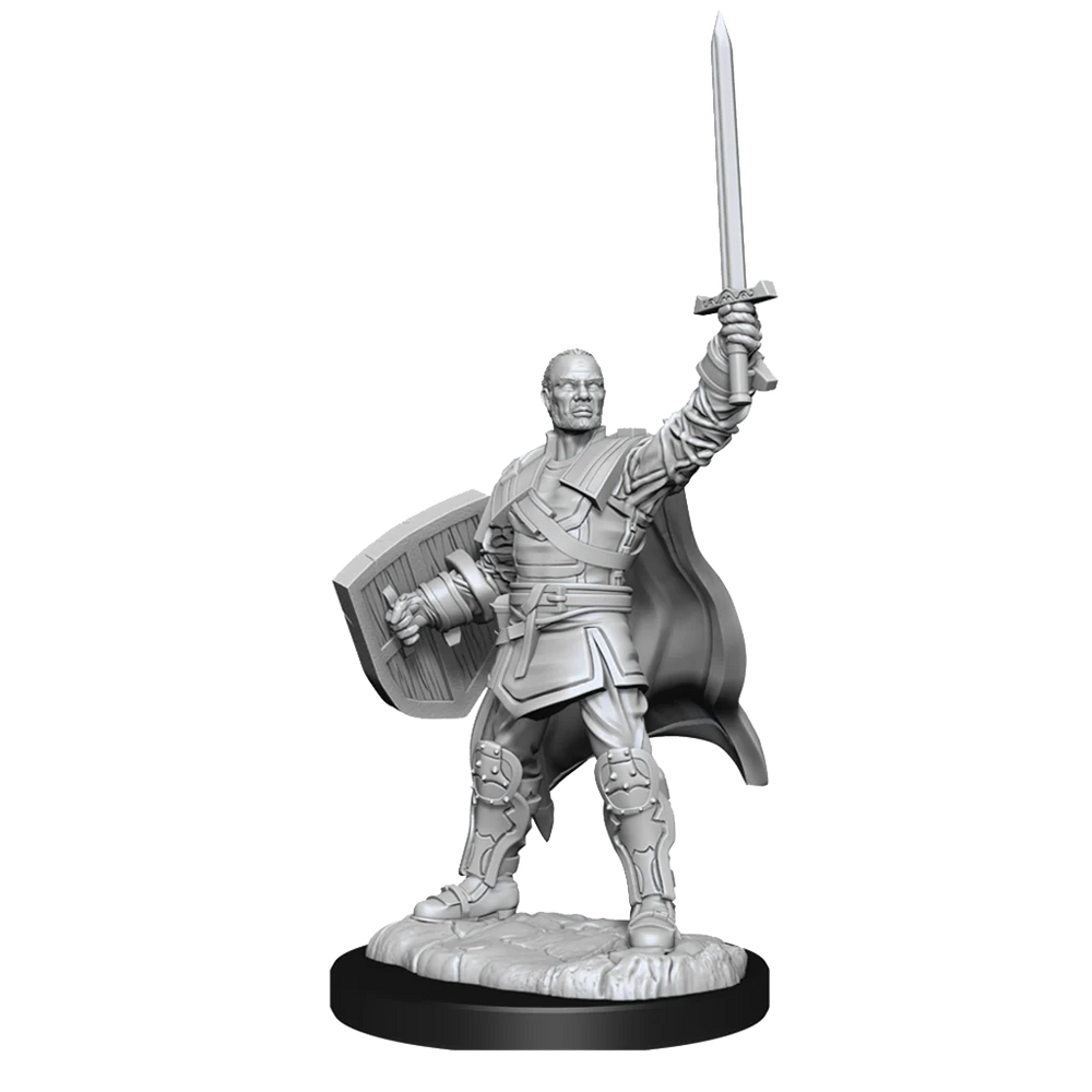 D&D Nolzur's Marvelous Miniatures: Human Paladin Male