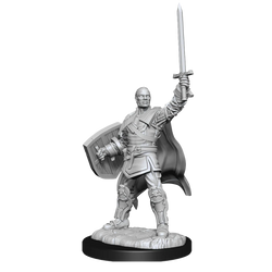 D&D Nolzur's Marvelous Miniatures: Human Paladin Male