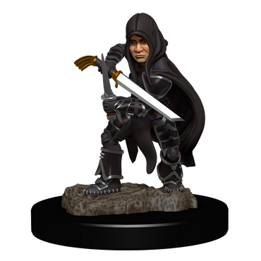 D&D Nolzur's Marvelous Miniatures: Halfling Rogue Male