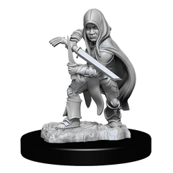 D&D Nolzur's Marvelous Miniatures: Halfling Rogue Male