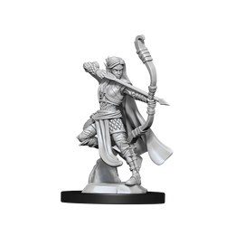 D&D Nolzur's Marvelous Miniatures: Elf Ranger Female