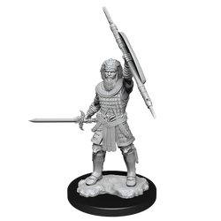 D&D Nolzur's Marvelous Miniatures: Human Fighter Male