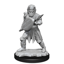D&D Nolzur's Marvelous Miniatures: Human Fighter Male