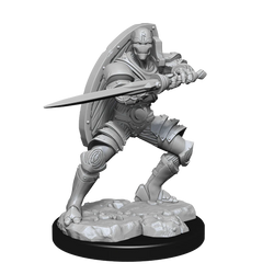 D&D Nolzur's Marvelous Miniatures: Warforged Fighter Male