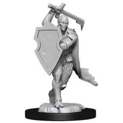 D&D Nolzur's Marvelous Miniatures: Warforged Fighter Male