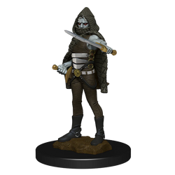 D&D Nolzur's Marvelous Miniatures: Darkling Elder & Darklings