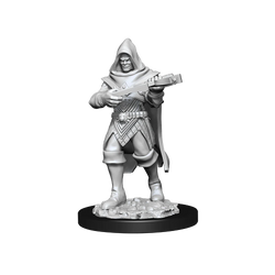 Pathfinder Deep Cuts: Human Rogue Male