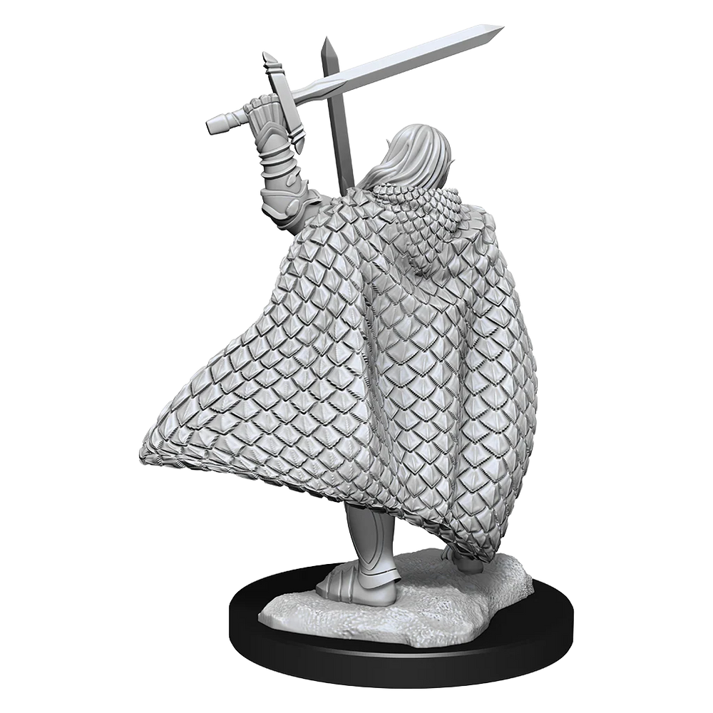 Pathfinder Deep Cuts Unpainted Miniatures: Elf Fighter Male