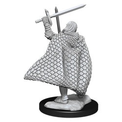 Pathfinder Deep Cuts Unpainted Miniatures: Elf Fighter Male