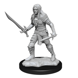 Pathfinder Deep Cuts Unpainted Miniatures: Elf Fighter Male