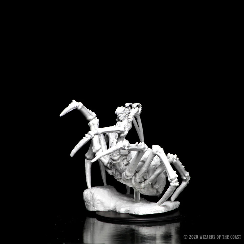 D&D Nolzur's Marvelous Miniatures: Drider