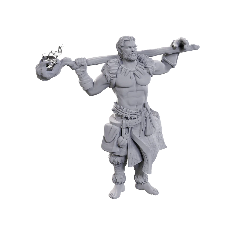 D&D Nolzur's Marvelous Miniatures: Archdruid & Martial Arts Adept (Male Elf)
