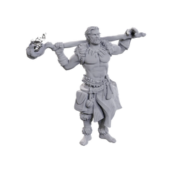 D&D Nolzur's Marvelous Miniatures: Archdruid & Martial Arts Adept (Male Elf)