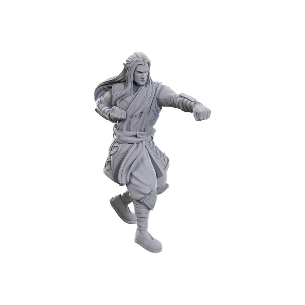 D&D Nolzur's Marvelous Miniatures: Archdruid & Martial Arts Adept (Male Elf)