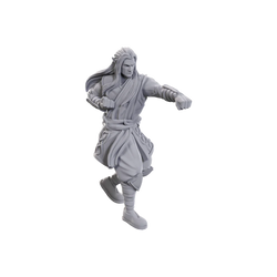 D&D Nolzur's Marvelous Miniatures: Archdruid & Martial Arts Adept (Male Elf)