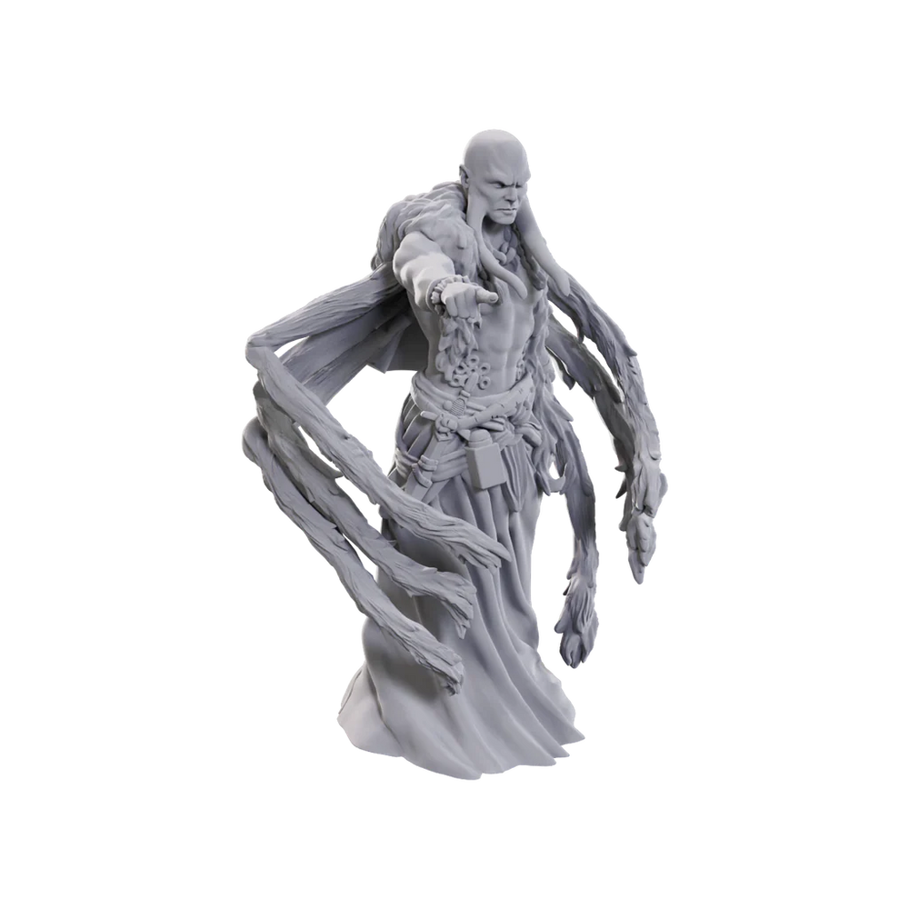 D&D Nolzur's Marvelous Miniatures: Kraken Priest