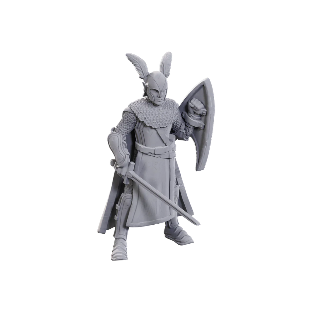 D&D Nolzur's Marvelous Miniatures: Limited Edition 50th Anniversary — Elves