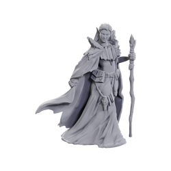 D&D Nolzur's Marvelous Miniatures: Limited Edition 50th Anniversary — Elves