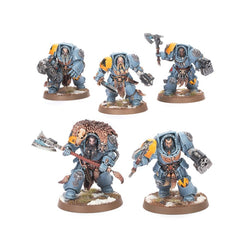 Warhammer 40k: Combat Patrol - Space Wolves (73-532)(10th ed.)
