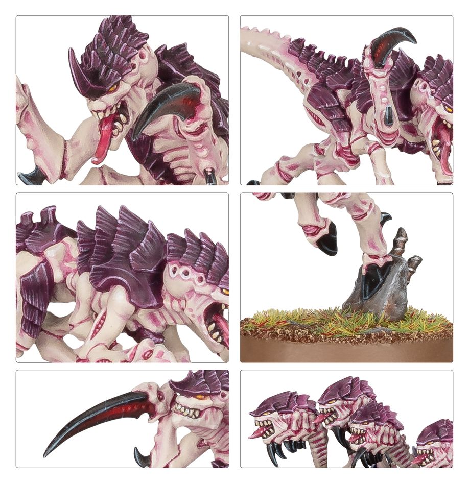 Warhammer 40k: Tyranids - Hormagaunts (51-17)