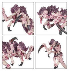 Warhammer 40k: Tyranids Battleforce - Tyranid Swarm (51-36)