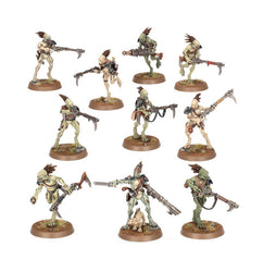 Warhammer 40k: T'au Empire - Kroot Carnivores (56-48)