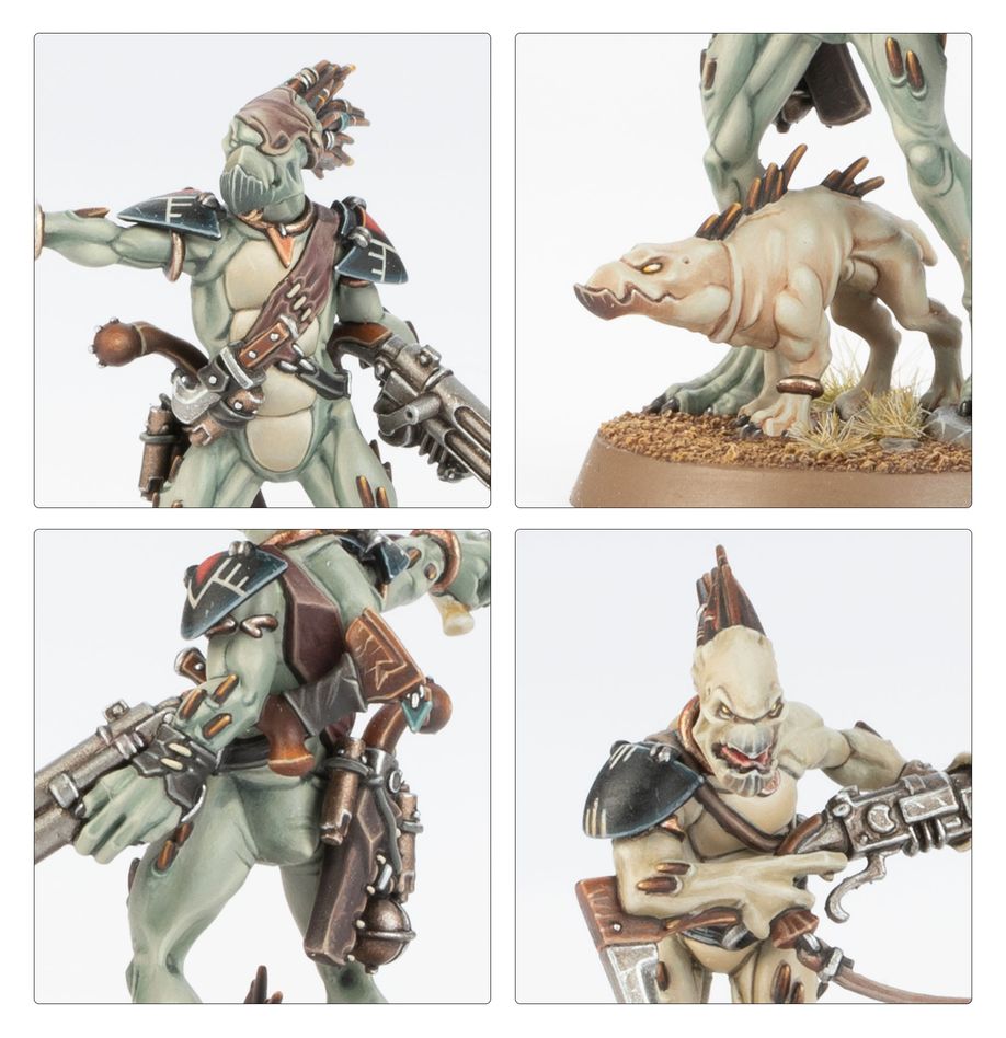 Warhammer 40k: T'au Empire - Kroot Carnivores (56-48)
