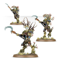 Warhammer Age of Sigmar: Sylvaneth Battleforce - Strongroot Grove (92-32)