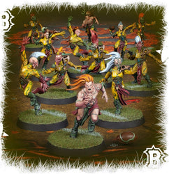 Blood Bowl: Wood Elf Blood Bowl Team – Athelorn Avengers (200-66)