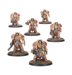 Warhammer 40k: Adeptus Custodes - Aquilon Terminator Sodality (77-12)