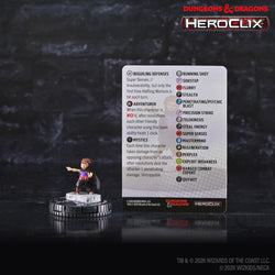 Dungeons & Dragons HeroClix 400: Adventuring Party 1