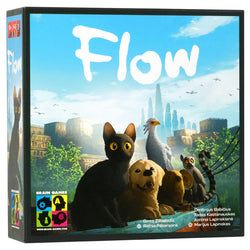 Flow