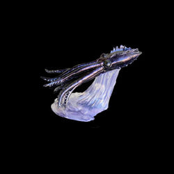 Turbo Dork Turboshift - Dark Ritual