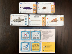Finspan: Sharks & Reefs
