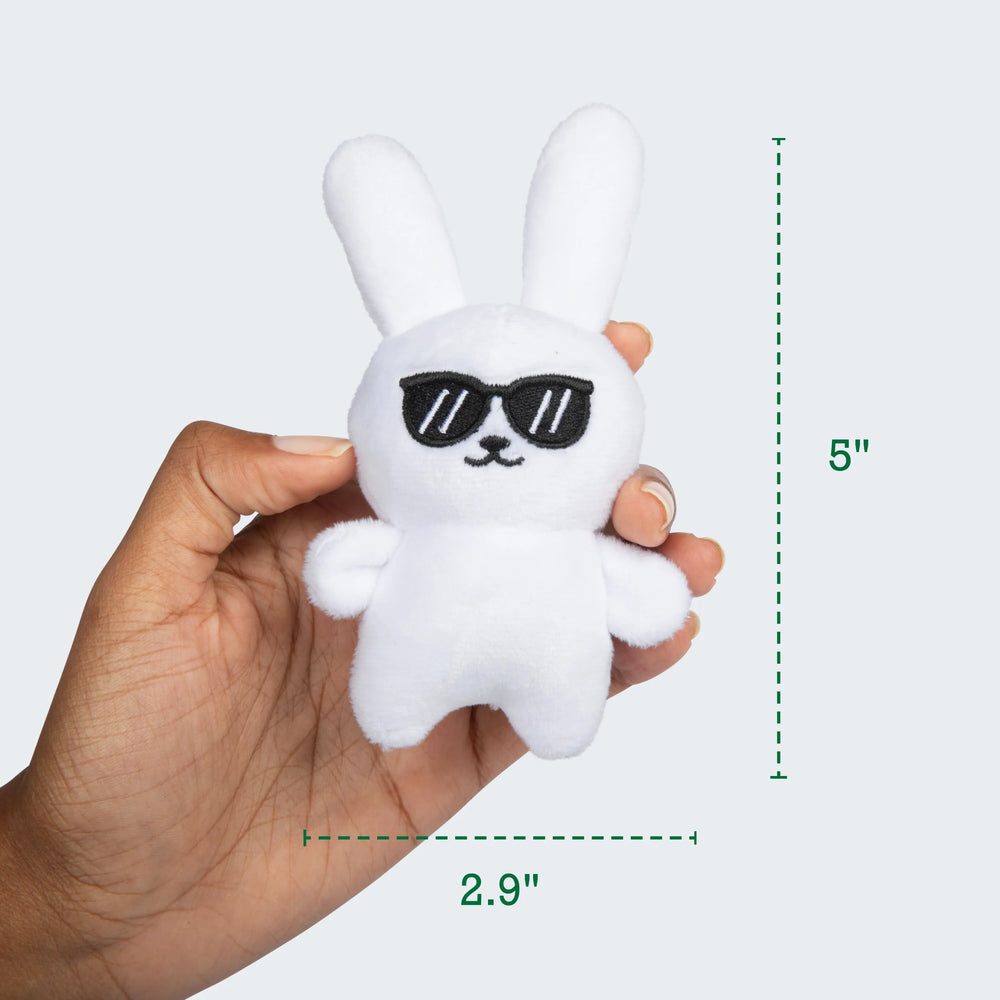Emotional Support Bunnies (Emotional Support Pals Plush)