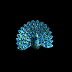 Turbo Dork Turboshift - Peacock